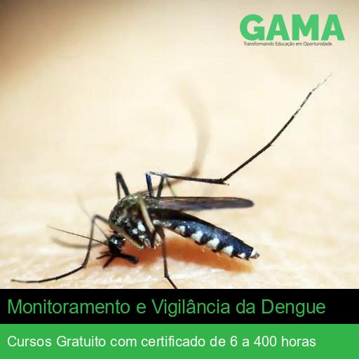 Monitoramento e Vigilância da Dengue
